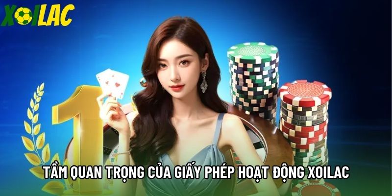 Tầm quan trọng của giấy phép hoạt động xoilac Tầm quan trọng của giấy phép hoạt động xoilac