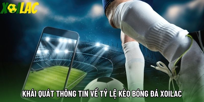 Khái quát thông tin về tỷ lệ kèo bóng đá xoilac Khái quát thông tin về tỷ lệ kèo bóng đá xoilac