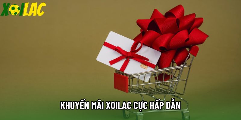Khuyến mãi xoilac cực hấp dẫn Khuyến mãi xoilac cực hấp dẫn