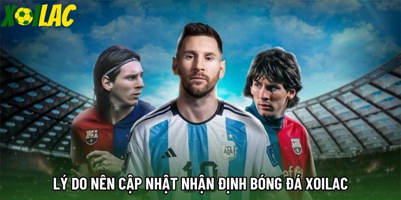Lý do nên cập nhật nhận định bóng đá xoilac Lý do nên cập nhật nhận định bóng đá xoilac