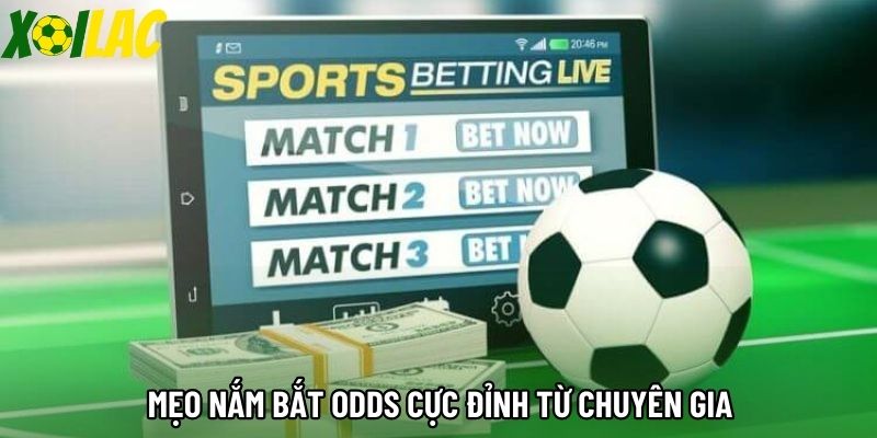 Mẹo nắm bắt odds cực đỉnh từ chuyên gia Mẹo nắm bắt odds cực đỉnh từ chuyên gia