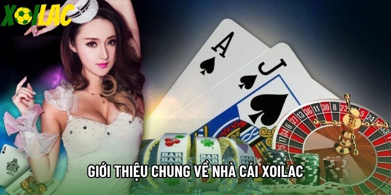 Giới thiệu chung về nhà cái xoilac Giới thiệu chung về nhà cái xoilac
