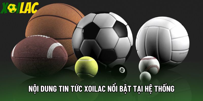 Nội dung tin tức xoilac nổi bật tại hệ thống