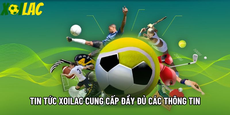 Tin tức xoilac cung cấp đầy đủ các thông tin