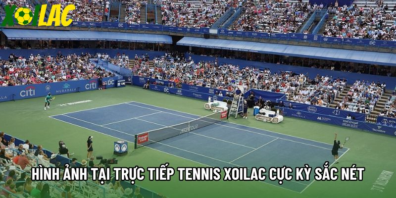 Hình ảnh tại trực tiếp tennis xoilac cực kỳ sắc nét