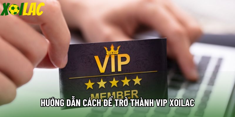 Hướng dẫn cách để trở thành VIP xoilac Hướng dẫn cách để trở thành VIP xoilac
