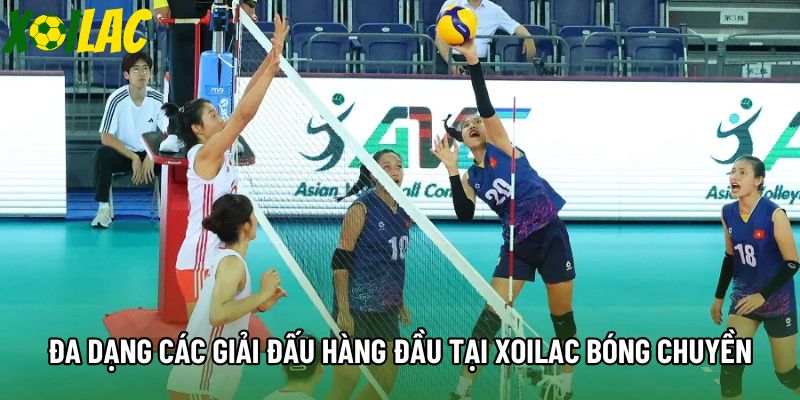 Đa dạng các giải đấu hàng đầu tại Xoilac bóng chuyền