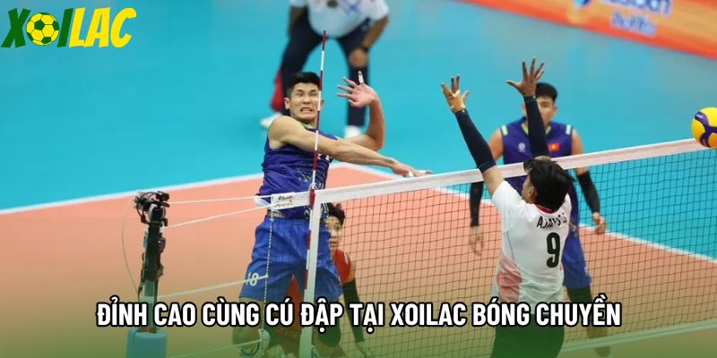Đỉnh cao cùng cú đập tại Xoilac bóng chuyền