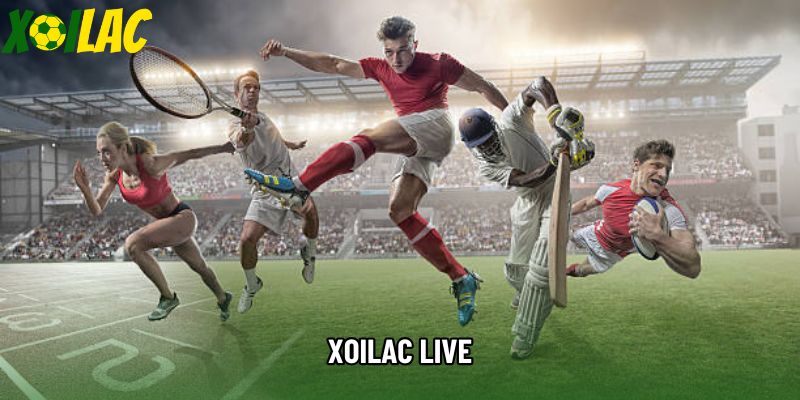 Xoilac live - Trực Tiếp Bóng Đá Đỉnh Cao Chất Lượng 4K