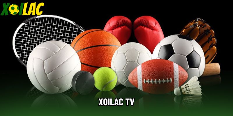 Xoilac TV – Trực Tiếp Bóng Đá Đẳng Cấp Và Chất Lượng